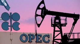 ОПЕК обещает стабилизацию цен на нефть в следующем году