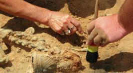 Хакасию ждут крупномасштабные археологические раскопки