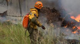 В России выросла площадь тушащихся лесных пожаров