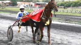 В Хакасии пройдёт II этап Большого Сибирского круга