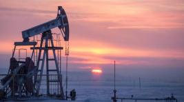 Эксперты: Россия намерена снизить добычу нефти