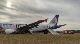 Самолет «Сочи-Омск» совершил экстренную посадку в пшеничном поле