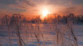 Погода в Хакасии 31 января: Спокойная прохладная погода