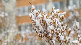 Погода в Хакасии 12 апреля: Снова зима?