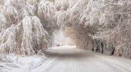 Декабрь в Хакасии может быть снежным