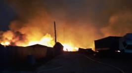 В Свердловской области введен режим ЧС из-за лесных пожаров