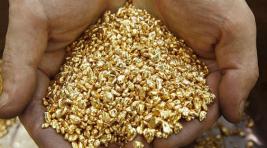 В Хакасии обнаружили пропажу золота на сорок миллионов рублей