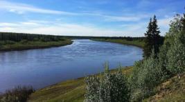 В Усинске введен режим ЧС из-за разлива нефтепродуктов в реке Колва