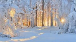 Погода в Хакасии 1 февраля: Зима идет к концу