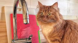 В субботу в Абакане отключат холодную воду