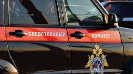 В Красноярском крае жестоко убита таксистка-пенсионерка