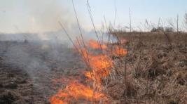 МЧС: За минувшие сутки в Хакасии отмечены четыре пала травы