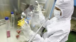США разрешит ученым работать со смертельно опасными вирусами