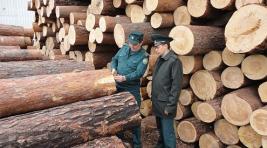 Экспортерам лесопродукции из Хакасии предложили новые услуги