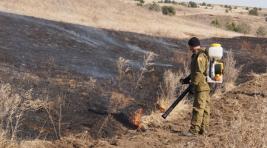 В Хакасии с лесными пожарами начали бороться огнем