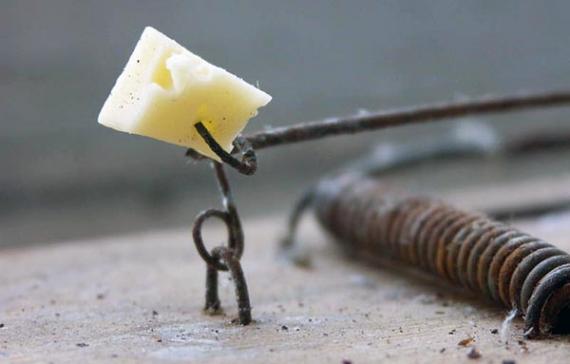 Жительница Хакасии лишилась денег, поверив в схему получения "пассивного дохода"