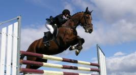 В Хакасии стартовали Всероссийские соревнования по конному спорту