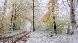 Погода в Хакасии 28 ноября: Пришла зима