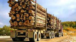 Предприниматель из Хакасии попалась на незаконном вывозе леса