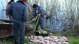 В Хакасии задержали браконьеров