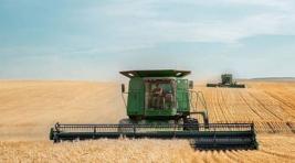 Турция: «Зерновая сделка» саботируется Западом