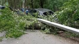Ураган в Омской области лишил света 104 населенных пункта