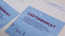В Москве задержали продавцов поддельных сертификатов о прививках