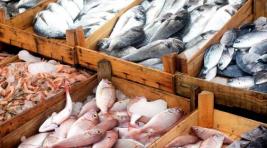 Кабмин РФ запретил ввоз рыбы из недружественных стран