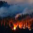 В лесах Хакасии введен режим ЧС из-за пожаров
