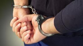 В Москве арестованы пятеро фигурантов «дела Голунова»