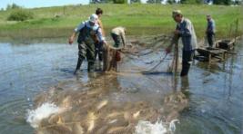 Минсельхозпрод Хакасии разработал законопроект для развития аквакультуры