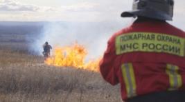 В Хакасии неизвестные спалили 16 тонн сена