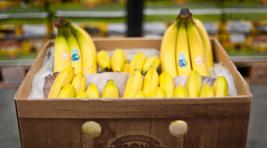 Экзотичные фрукты: В польских бананах нашли более 170 кг кокаина