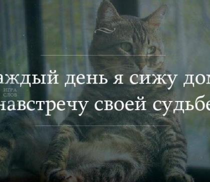 Погода в Хакасии 28 марта: Пасмурно и ветрено