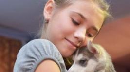 Путин подарил девочке из Хакасии щенка хаски. Продолжение последовало и шокировало..