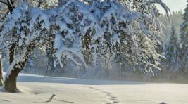Погода в Хакасии 2 декабря: Зима вступила в свои права