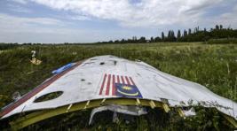 Нидерландская разведка не нашла «Буков» в районе крушения МН-17