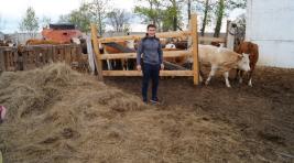 Начинающих фермеров "поддержит" новое руководство республики Хакасия