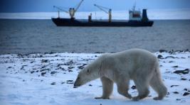 «Роснефть» пообещала инвестиции в Арктику в обмен на льготы