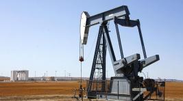 Цены на нефть упали ниже 50 долларов за баррель