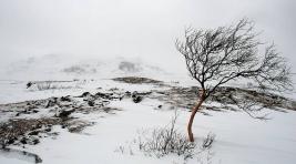 Погода в Хакасии 25 января: Ветер пришел надолго