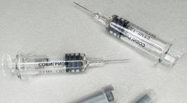 В медучреждениях Хакасии началась прививочная кампания против гриппа