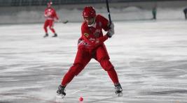 Финальные игры Высшей лиги по хоккею с мячом пройдут в Ульяновске