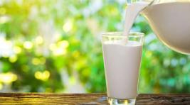 Россельхознадзор: производители добавляют в молоко тальк и гипс