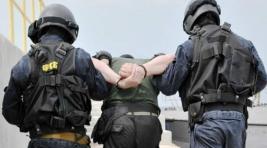 В Новосибирске и Томске раскрыли террористические ячейки