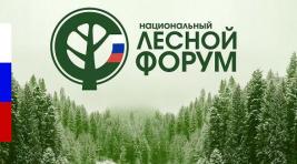 В Барнауле завершился этап Национального лесного форума