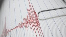 В акватории Камчатского залива отмечено землетрясение магнитудой 5,2