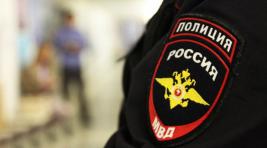 МВД РФ предлагает наказывать за оскорбления полицейских в Сети