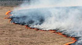 В выходные в Хакасии вновь горели степи