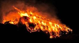 В Ширинском районе двое школьников спалили 54 тонны сена